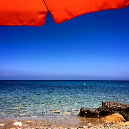 Mare * Orga