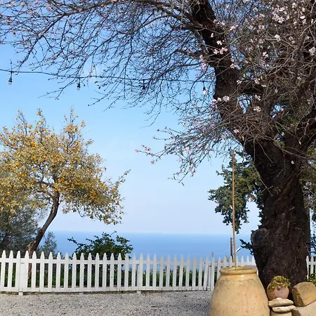 Mare